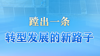 蹚出一條轉型發展的新路子